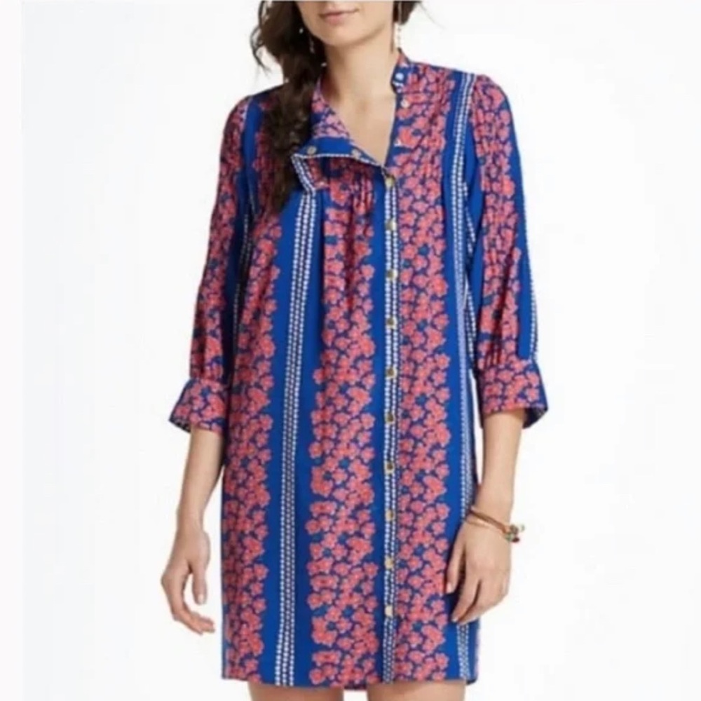 Anthropologie Madchen Blue and Pink Floral Dress Size 4